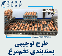 Egg packaging
