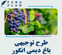 grape dry farming