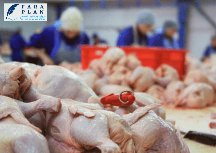 بررسی ابعاد مختلف درآمدزایی کشتارگاه مرغ و طیور