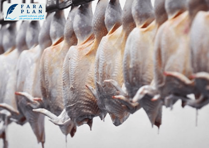 سرمایه مورد نیاز برای راه اندازی کشتارگاه مرغ و طیور