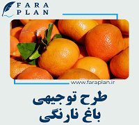 tangerine garden