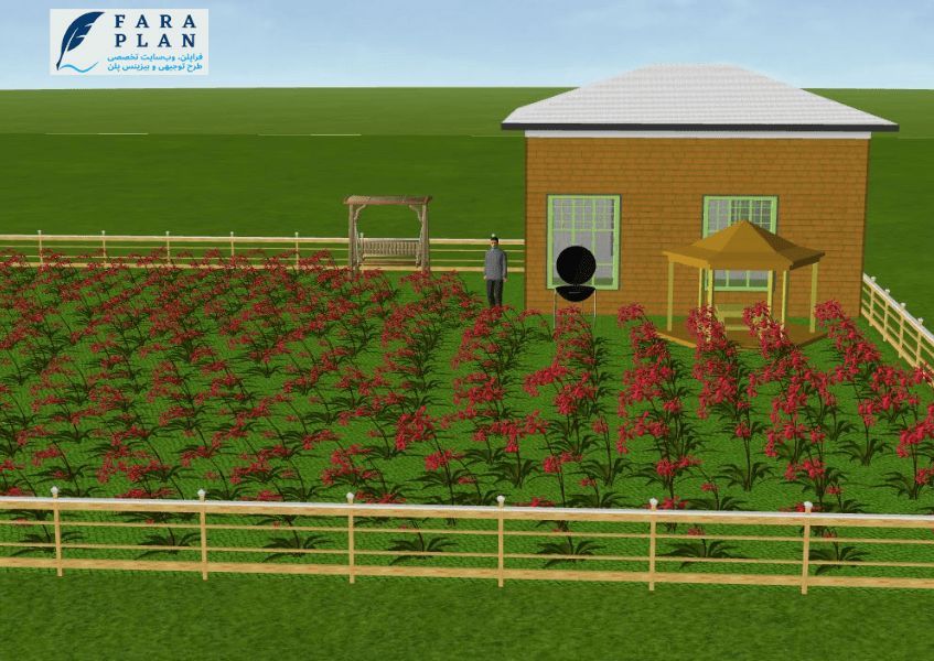 مزرعه تولیدی گل گاوزبان