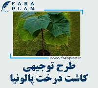 طرح توجیهی کاشت درخت پالونیا