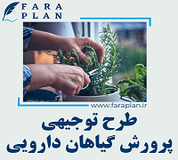 طرح توجیهی پرورش گیاهان دارویی