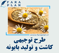 طرح توجیهی کاشت و تولید بابونه