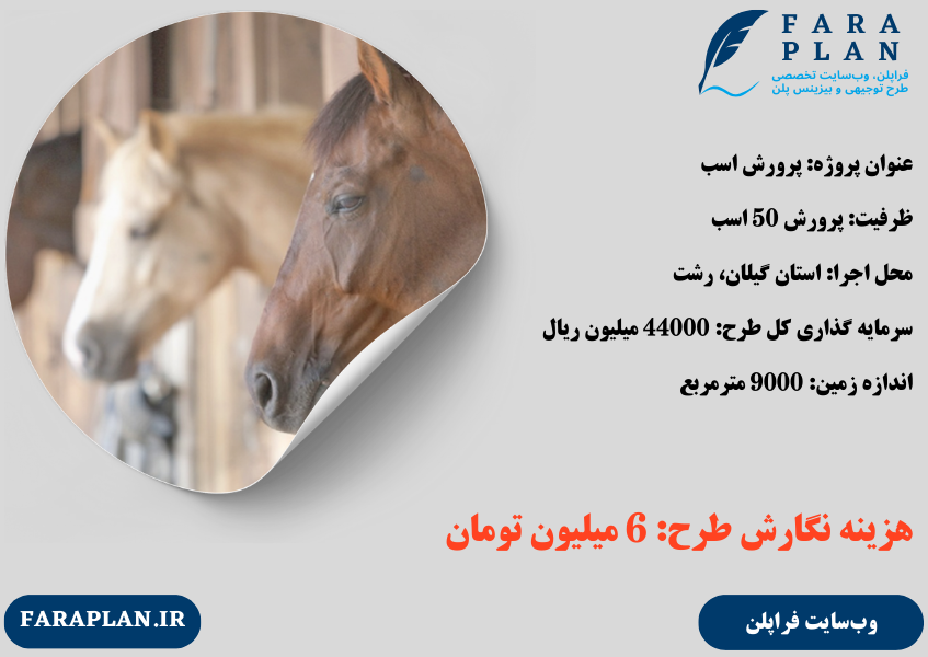 هزینه نگارش طرح توجیهی پرورش اسب