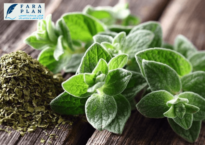 آویشن گیاهی با حاشیه سود بالا