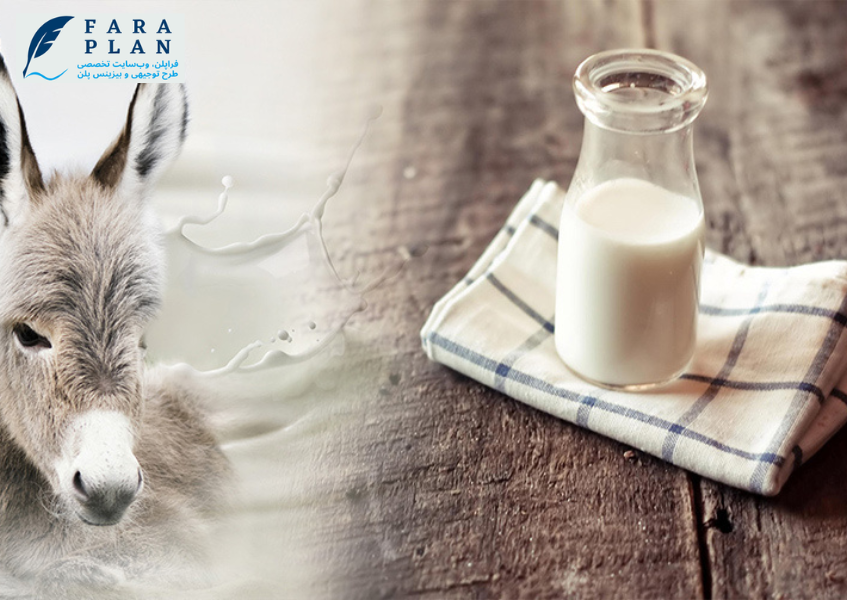 پرورش الاغ شیری، ایده ای بسیار سودده!