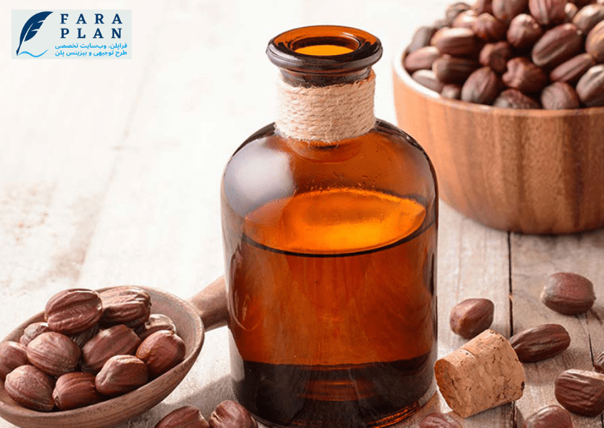 سرمایه مورد نیاز برای راه اندازی کسب و کار تولید جوجوبا