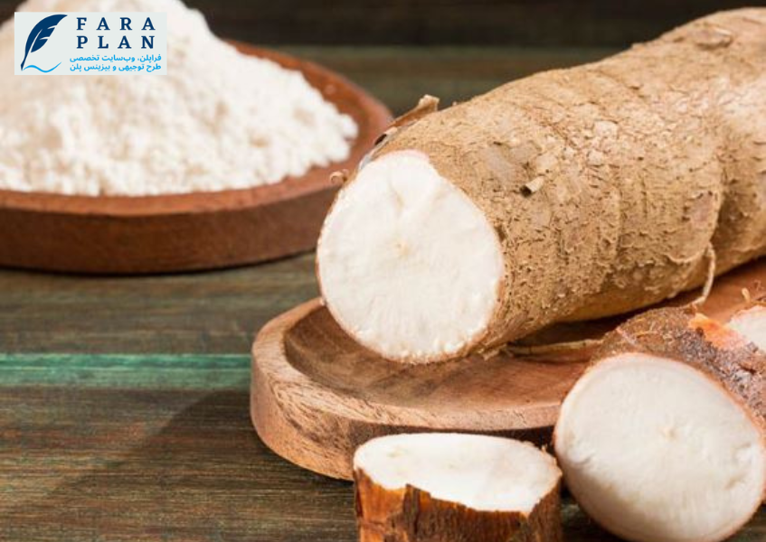 سودآوری کشت گیاه کاساوا