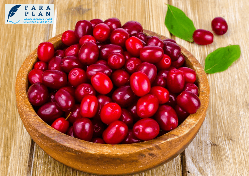 شرایط آب و هوایی مورد نیاز برای کشت زغال اخته