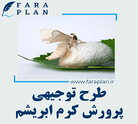 طرح توجیهی پرورش کرم ابریشم