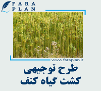 طرح توجیهی کشت کنف