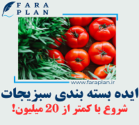 طرح و ایده کسب و کاری بسته بندی سبزیجات