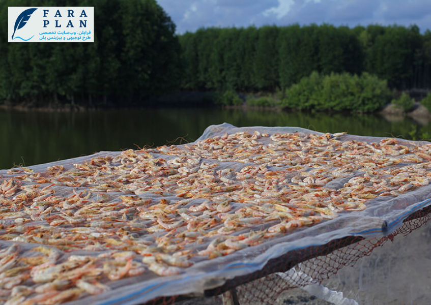 ایده سرمایه گذاری پرورش لابستر