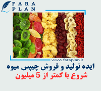 ایده کسب و کار تولید و فروش چیپس میوه