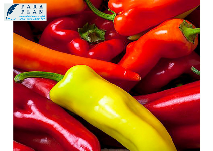 سرمایه گذاری در عرصه راه اندازی گلخانه پرورش فلفل پاپریکا