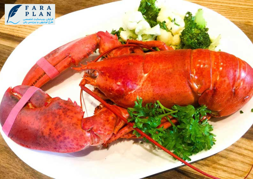 سود و درآمد کسب و کار پرورش لابستر