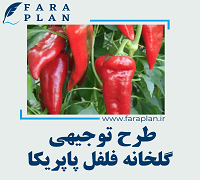 طرح توجیهی راه اندازی گلخانه فلفل پاپریکا