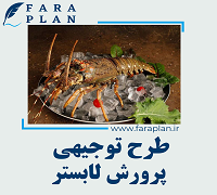 طرح توجیهی پرورش لابستر
