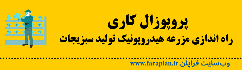 نحوه تاسیس مزرعه هیدروپونیک تولید سبزیجات
