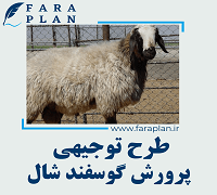 طرح توجیهی پرورش گوسفند شال
