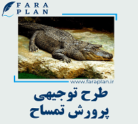 طرح توجیهی پرورش تمساح