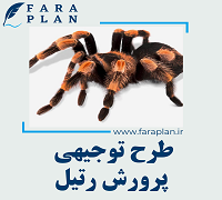 طرح توجیهی پرورش و تکثیر رتیل