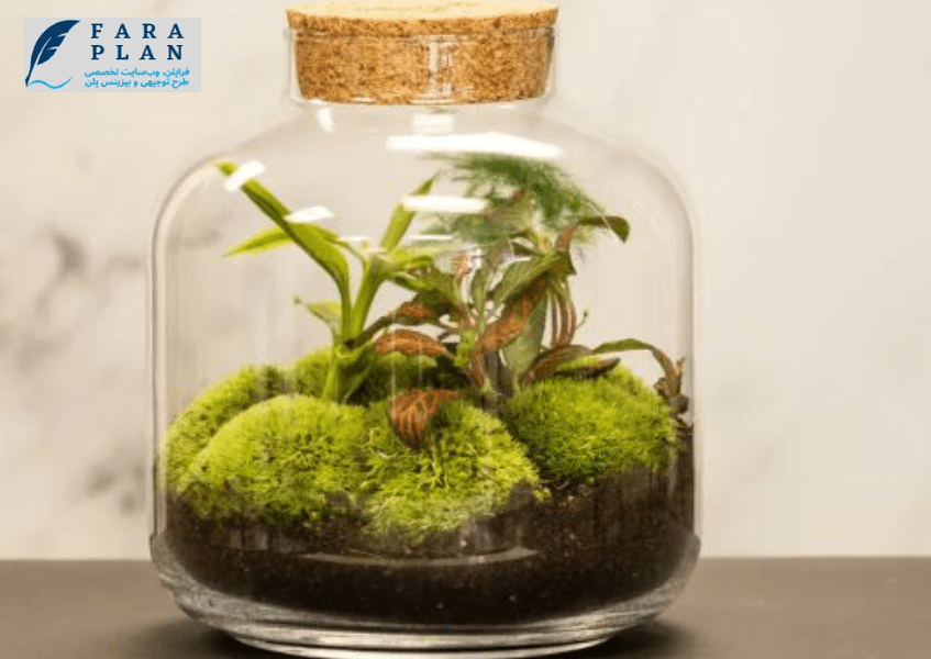 به فکر تولید تراریوم باشید!
