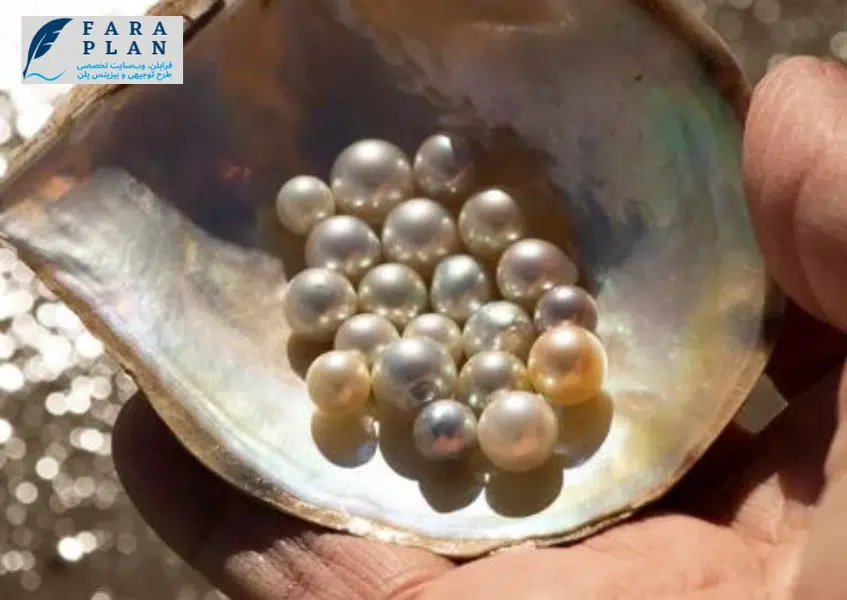 سود کسب و کار پرورش مروارید