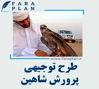 طرح توجیهی پرورش شاهین