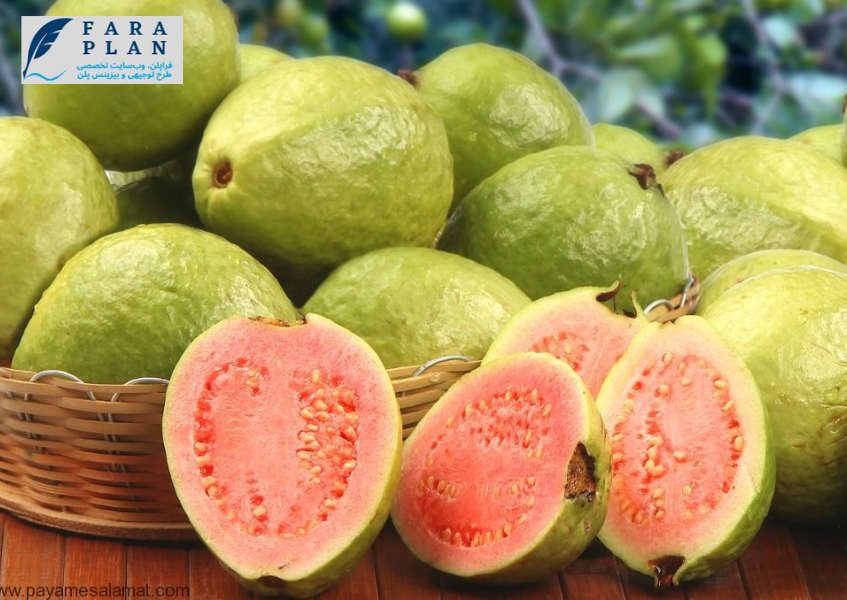 نحوه کاشت و پرورش گواوا