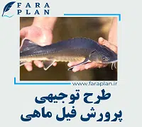طرح توجیهی پرورش فیل ماهی