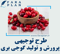 طرح توجیهی پرورش و تولید گوجی بری