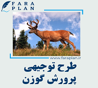 طرح توجیهی پرورش گوزن