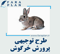 طرح توجیهی پرورش خرگوش
