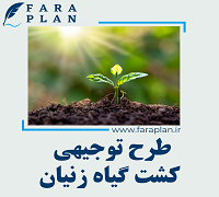 طرح توجیهی کشت گیاه زنیان