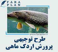 طرح توجیهی پرورش اردک ماهی