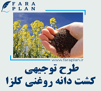 طرح توجیهی کشت و تولید دانه روغنی کلزا
