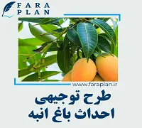 طرح توجیهی احداث باغ انبه