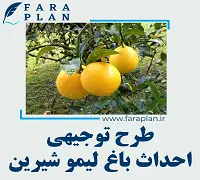 طرح توجیهی احداث باغ لیمو شیرین