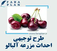 طرح توجیهی احداث مزرعه آلبالو
