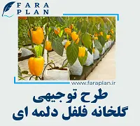 طرح توجیهی احداث گلخانه فلفل دلمه ای