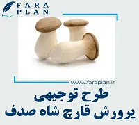 طرح توجیهی پرورش قارچ شاه صدف