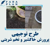 طرح توجیهی کشت و پرورش خاکشیر و تخم شربتی
