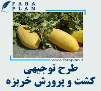 طرح توجیهی کشت و پرورش خربزه