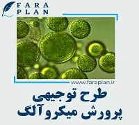 طرح توجیهی کشت و پرورش میکروآلگ